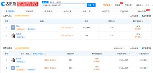 数字文化创意内容应用服务的多维发展图谱